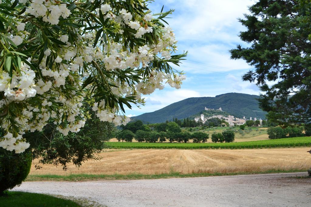 Camere I Monelli Assisi Bagian luar foto