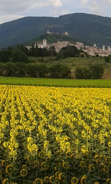 Camere I Monelli Assisi Bagian luar foto