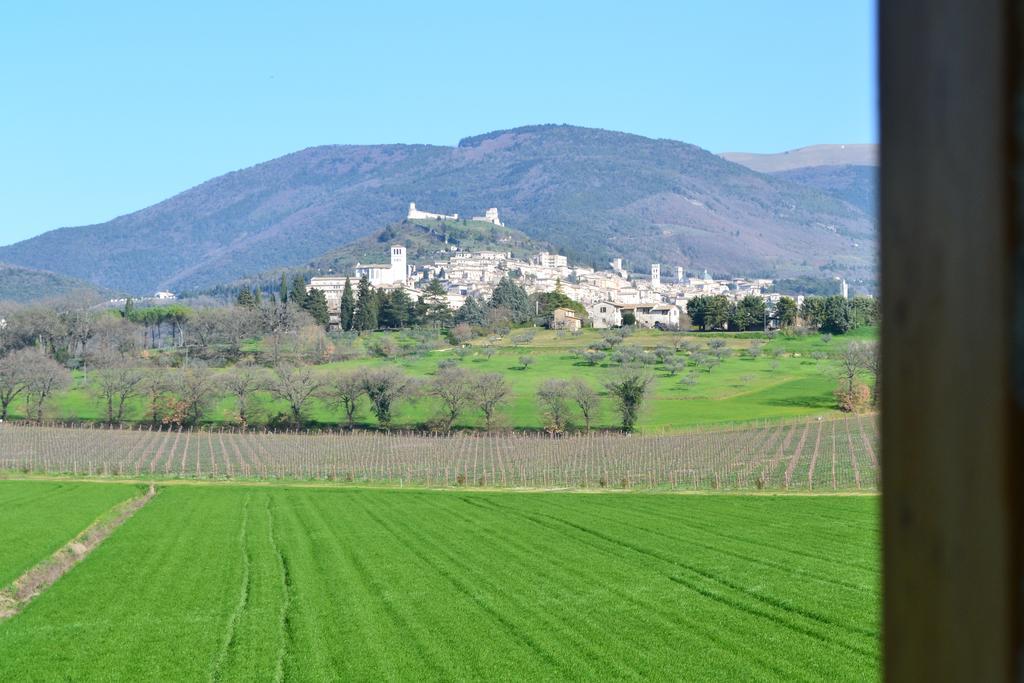 Camere I Monelli Assisi Bagian luar foto